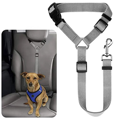 🐕🦺Cintura di sicurezza e guinzaglio 2 in 1 per cani