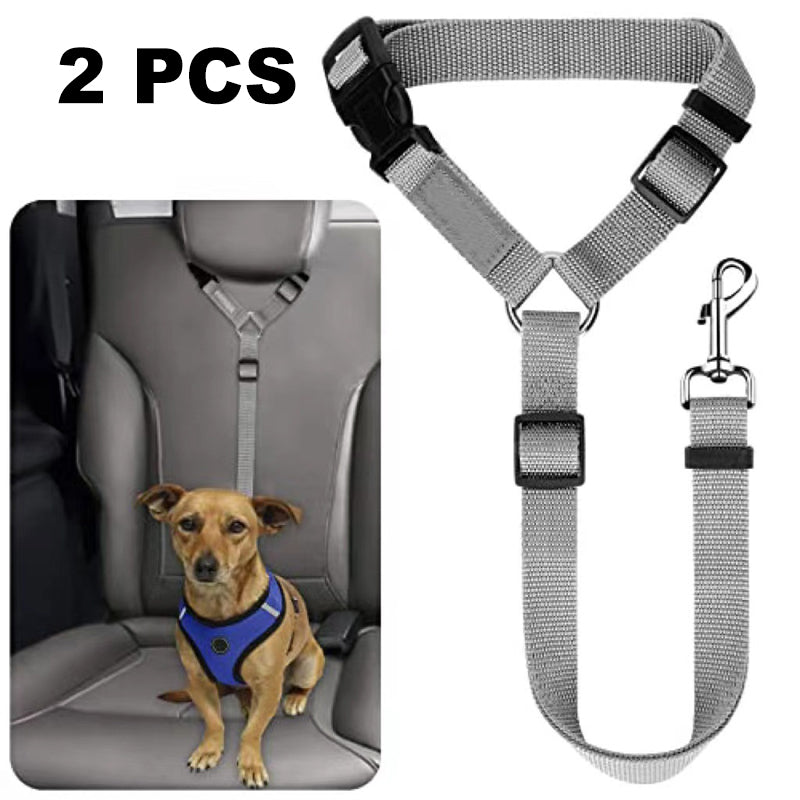 🐕🦺Cintura di sicurezza e guinzaglio 2 in 1 per cani
