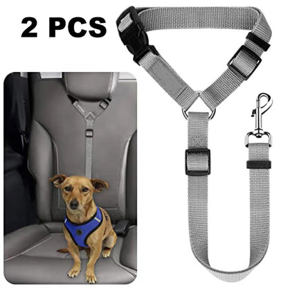 🐕🦺Cintura di sicurezza e guinzaglio 2 in 1 per cani