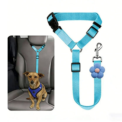 🐕🦺Cintura di sicurezza e guinzaglio 2 in 1 per cani