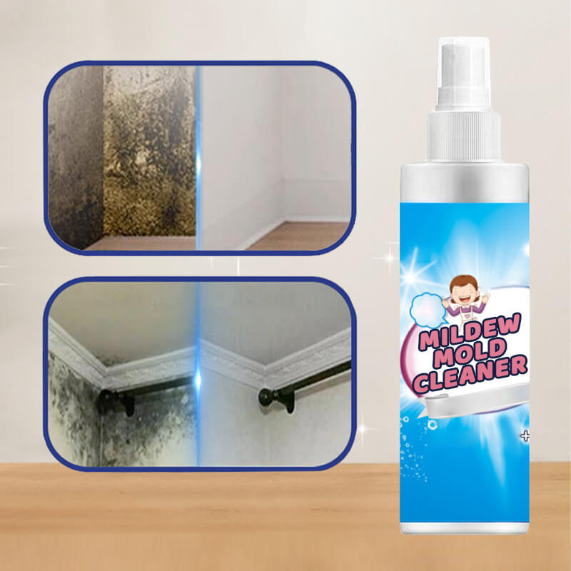 🦠 Spray antimuffa e antifungino: basta spruzzarlo, lasciarlo agire e la macchia sparisce! 🚿✨