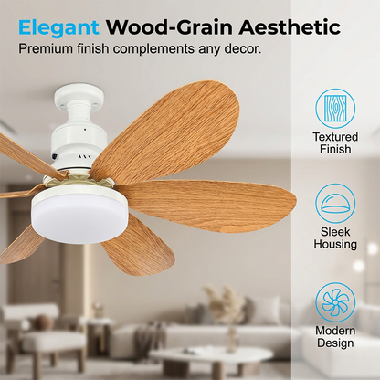 💡Ventilatore da soffitto intelligente 2 in 1 con luce integrata🌬️