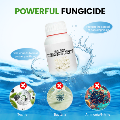 Chlordioxid-Brausetabletten zur Desinfektion