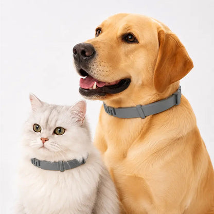 Collari regolabili contro pulci e zecche per cani e gatti🌿🐾