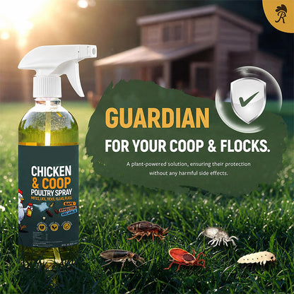 Spray detergente naturale per pollai