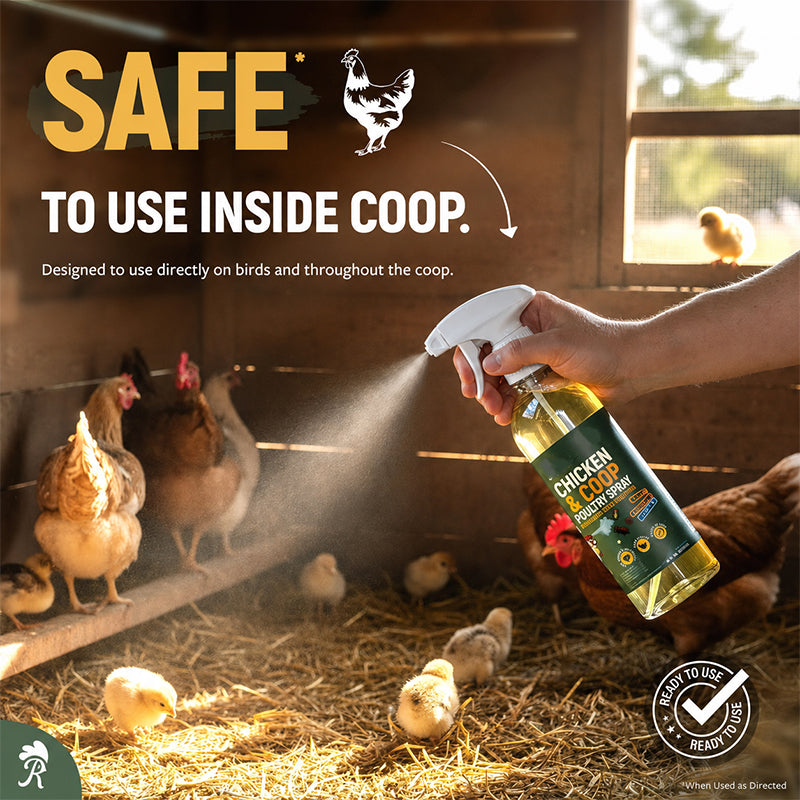Spray detergente naturale per pollai