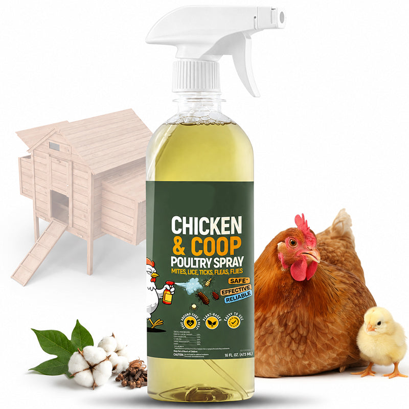 Spray detergente naturale per pollai