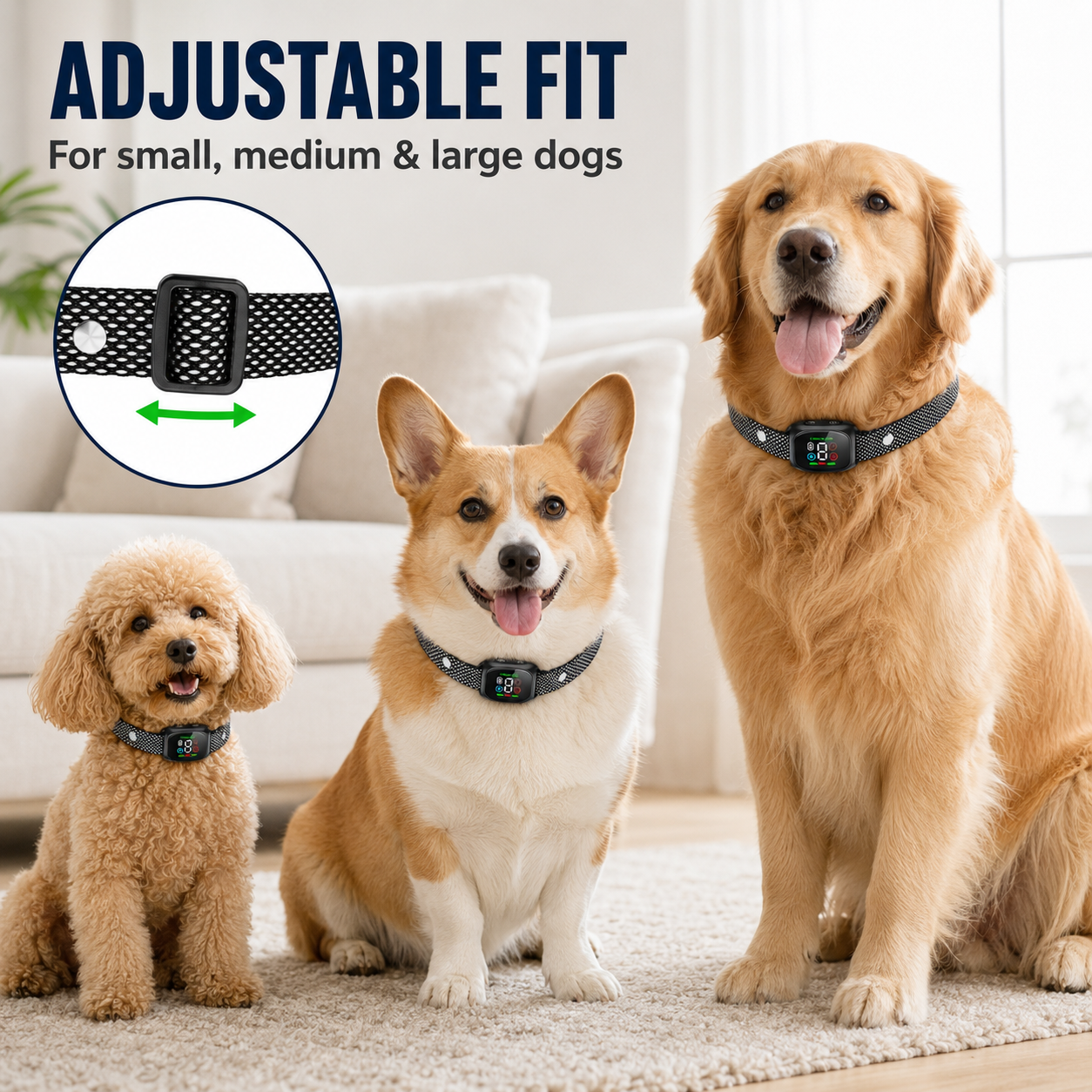 Collare antiabbaio intelligente per cani