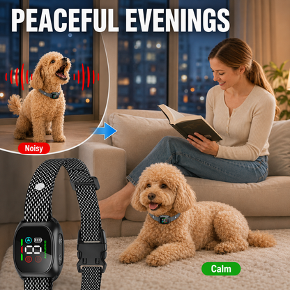 Collare antiabbaio intelligente per cani