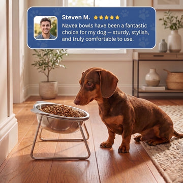 🛒🎃 Offerta Halloween: 50% di sconto! Ciotola ortopedica inclinata a 15° – Proteggi le articolazioni del tuo pet. Ordina ora!