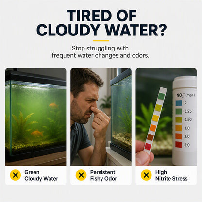 Compresse per la purificazione dell'acqua di acquario professionali
