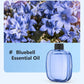🎁Idea Regalo Vendita Calda SCONTO 50%🌸💨 Diffusore per Aromaterapia – Automatico, Rilassante e Pronto per il Regalo ✨