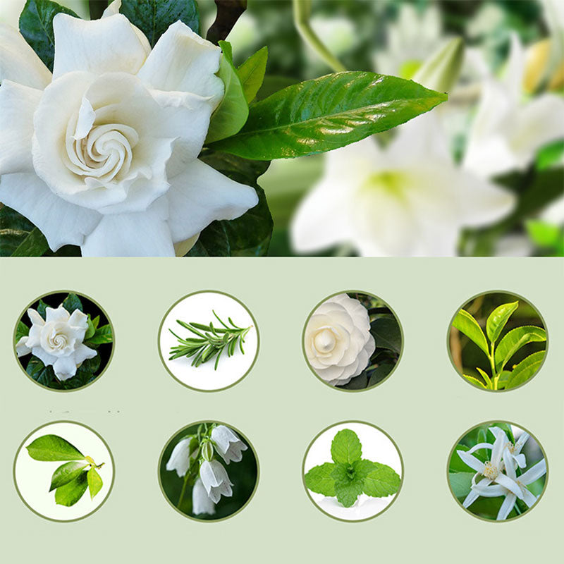 🎁Idea Regalo Vendita Calda SCONTO 50%🌸💨 Diffusore per Aromaterapia – Automatico, Rilassante e Pronto per il Regalo ✨