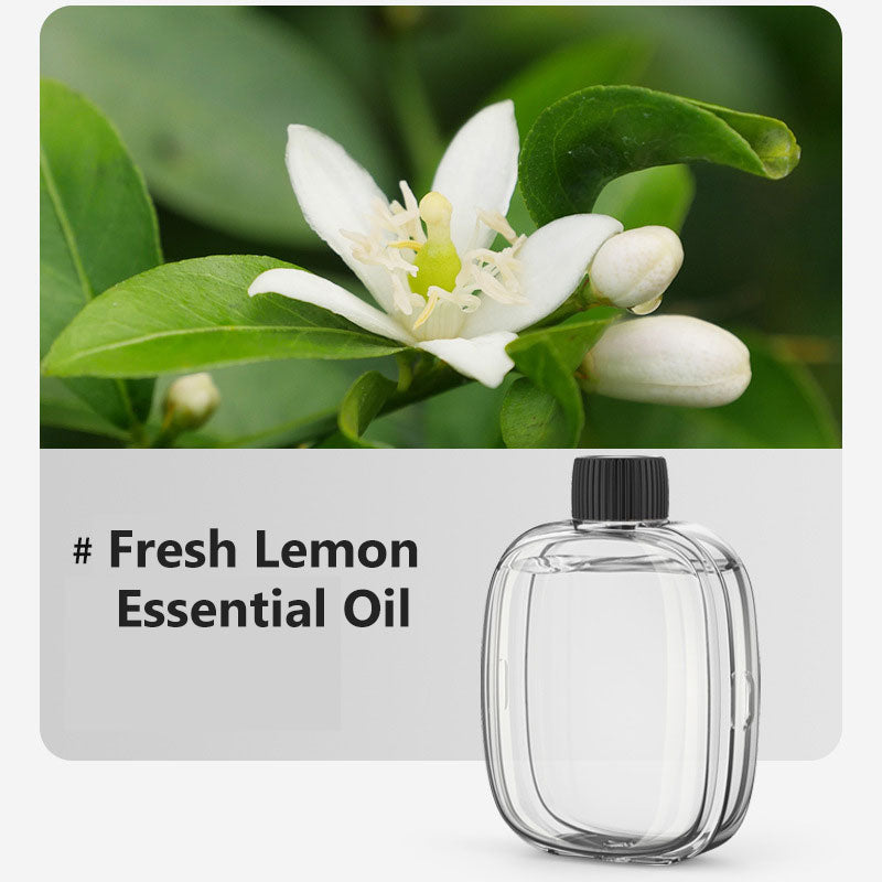 🎁Idea Regalo Vendita Calda SCONTO 50%🌸💨 Diffusore per Aromaterapia – Automatico, Rilassante e Pronto per il Regalo ✨