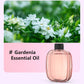 🎁Idea Regalo Vendita Calda SCONTO 50%🌸💨 Diffusore per Aromaterapia – Automatico, Rilassante e Pronto per il Regalo ✨