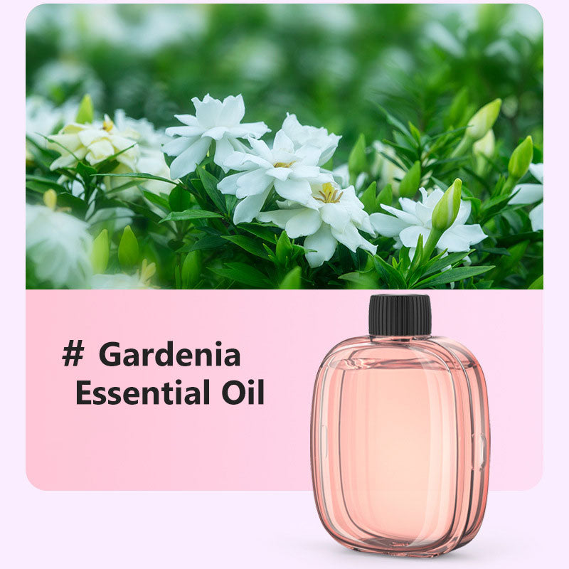 🎁Idea Regalo Vendita Calda SCONTO 50%🌸💨 Diffusore per Aromaterapia – Automatico, Rilassante e Pronto per il Regalo ✨