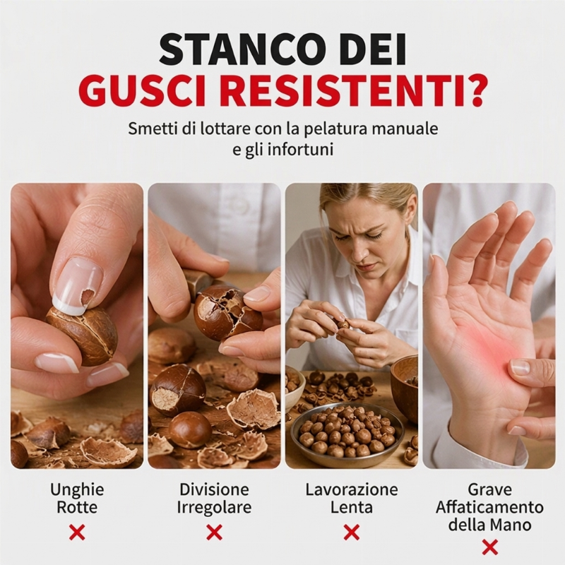 Schiaccianoci in Acciaio Inossidabile e Strumento per Sgusciare Castagne