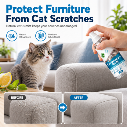 Spray deterrente per graffi di gatti